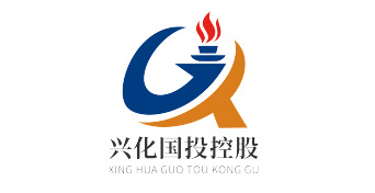 兴化国投控股