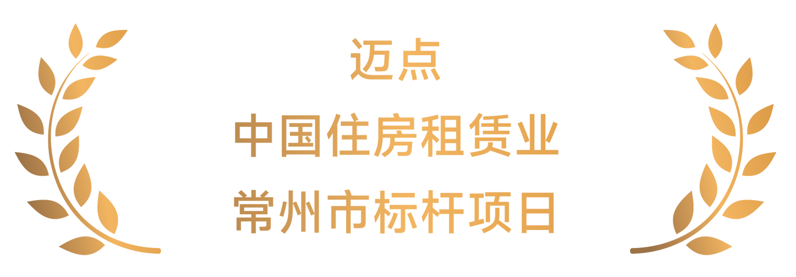 迈点